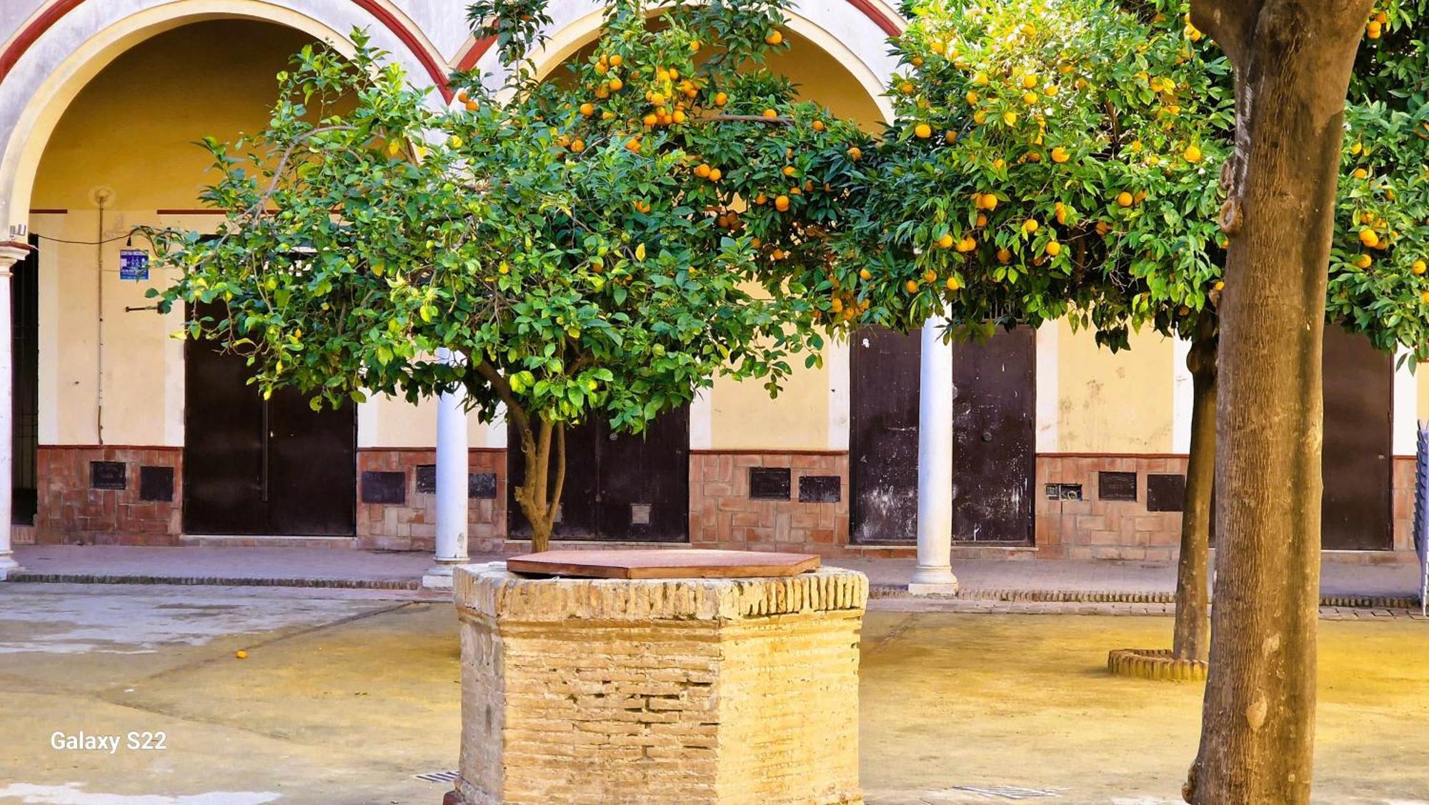 شقة Residencial Victoria Centro Sanlúcar de Barrameda المظهر الخارجي الصورة